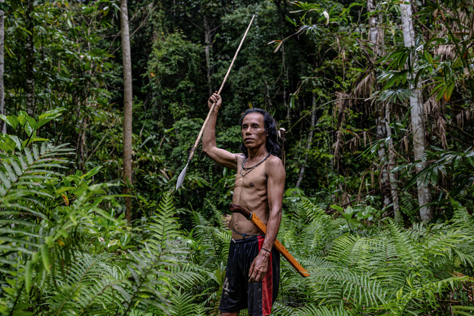 Sumean Gebe, 42, member of the O Hongana Manyawa ethnic group (commonly referred to by outsiders as the Togutil or Tobelo Dalam people), are indigenous inhabitants of Halmahera Island in North Maluku, Indonesia. As the one of the last nomadic hunter-gatherer tribes in Indonesia, he was photographed in a Gamesang Forest, East Halmahera on August 19, 2024.